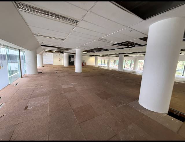 1,526M² OFFICE TO LET IN AUCKLAND PARK